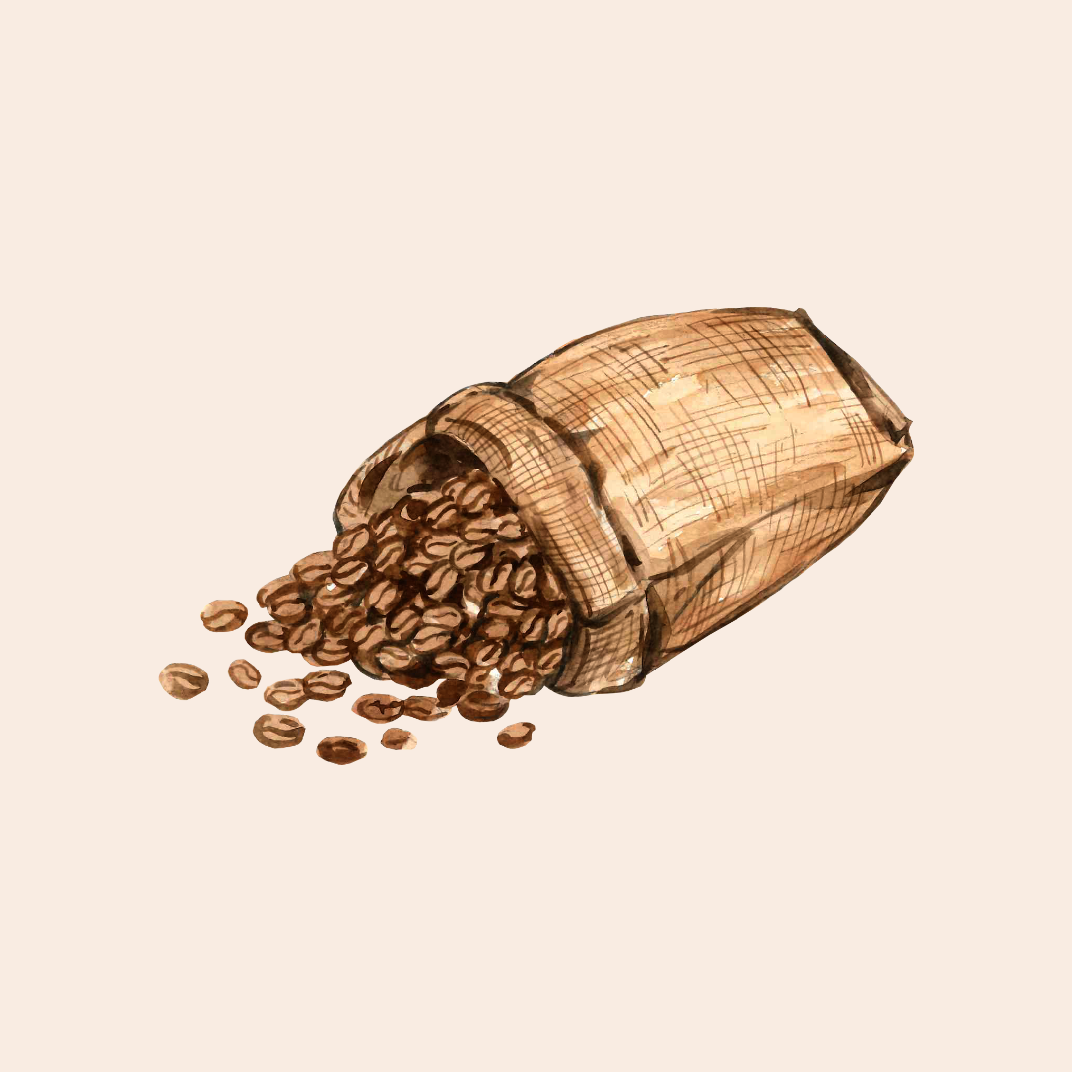 Café (Kit 6 unidades)